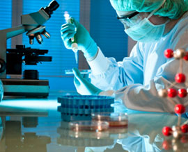 A medical researcher works in the lab.